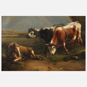 Rast im Gebirge, Spätromantiker