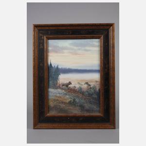 Arvid Andersson, Elch in morgendlicher Landschaft