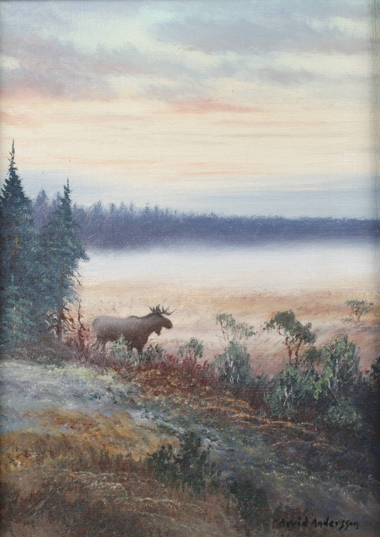 Arvid Andersson, Elch in morgendlicher Landschaft