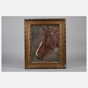 Hellmut Bachrach-Baree, Pferdekopf