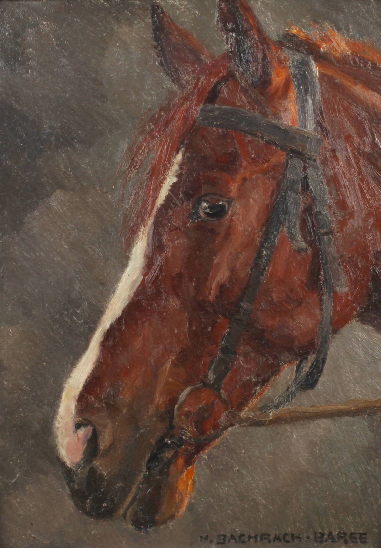 Hellmut Bachrach-Baree, Pferdekopf