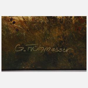 Günther Frühmesser, Sommerliche Berglandschaft