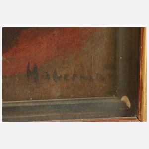 Prof. Hugo von Habermann, Frauenportrait