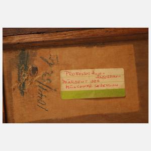 Prof. Hugo von Habermann, Frauenportrait