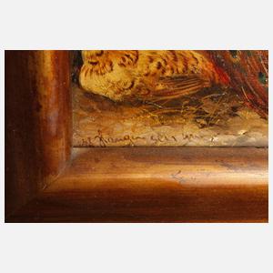 Max Hänger sen., Pfau mit Enten