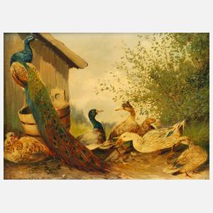 Max Hänger sen., Pfau mit Enten