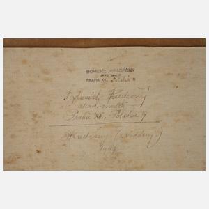 Prof. Bohumil Hradecny, Ansicht Prag