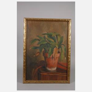 J. Krieger, Pflanzenstillleben