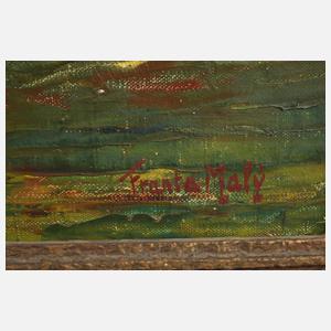 Frantisek Maly, Priznan im Kosovo