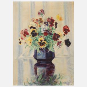 Holla Schicho, Stiefmütterchen