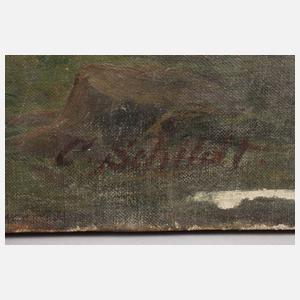 Carl Schildt, Sommerlandschaft mit See