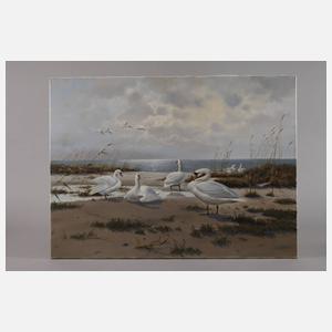 Gerhard Zank, Schwäne an der Küste