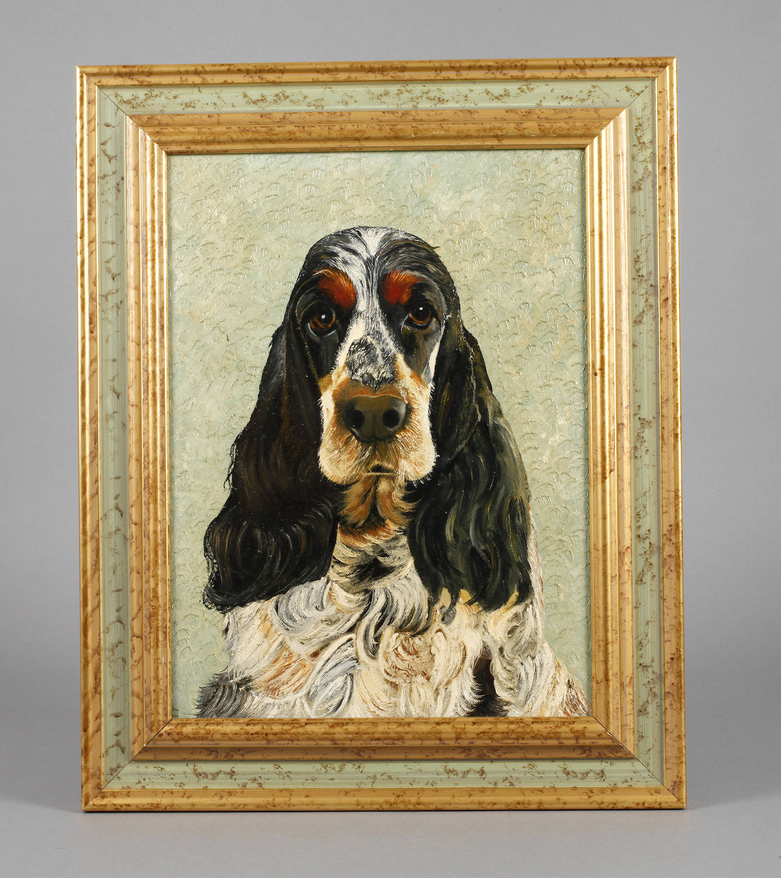 Portrait eines English Cocker Spaniel