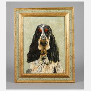 Portrait eines English Cocker Spaniel