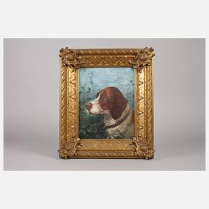 Portrait eines Jagdhundes