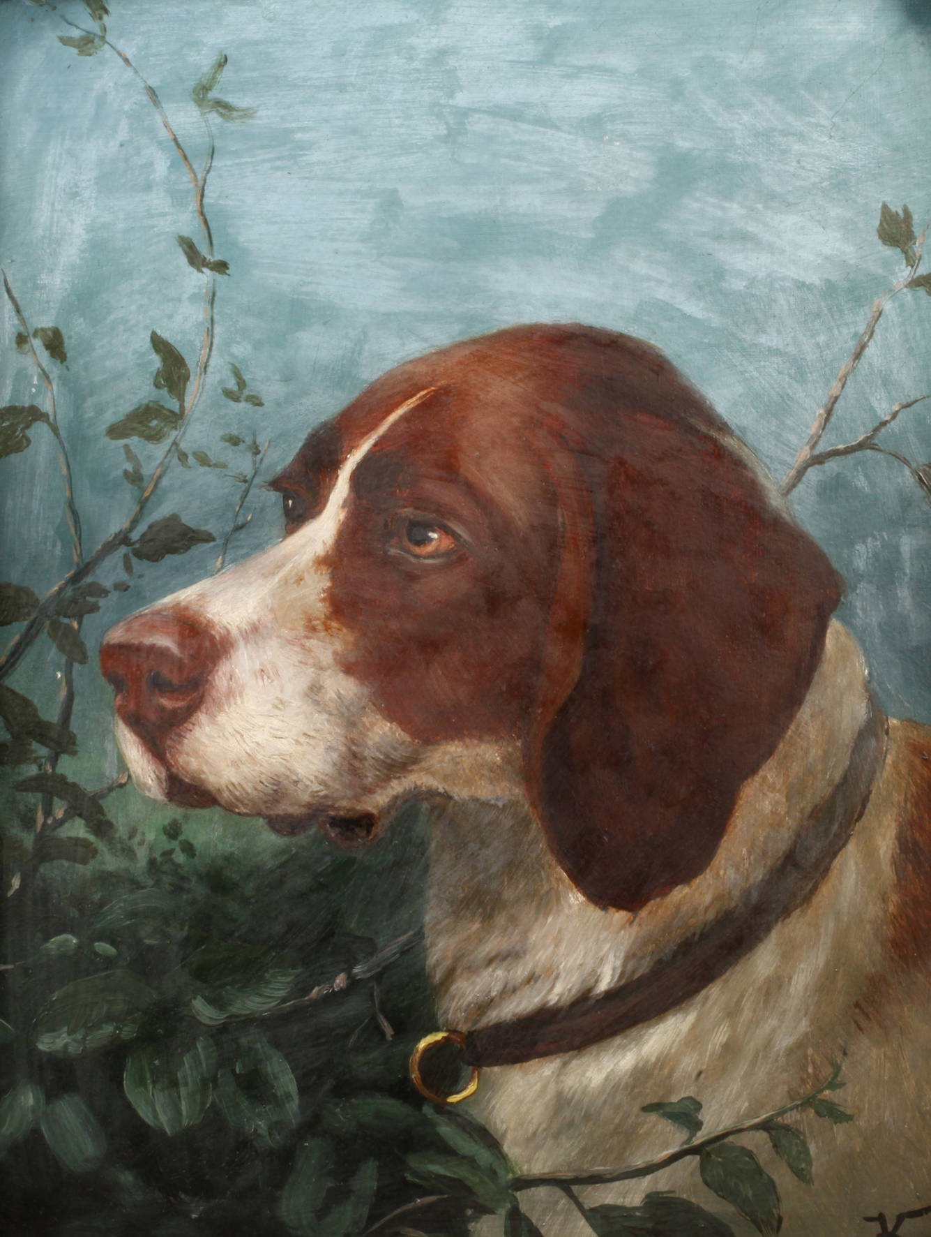 Portrait eines Jagdhundes