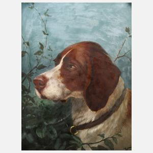 Portrait eines Jagdhundes