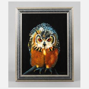 Portrait eines Käuzchens