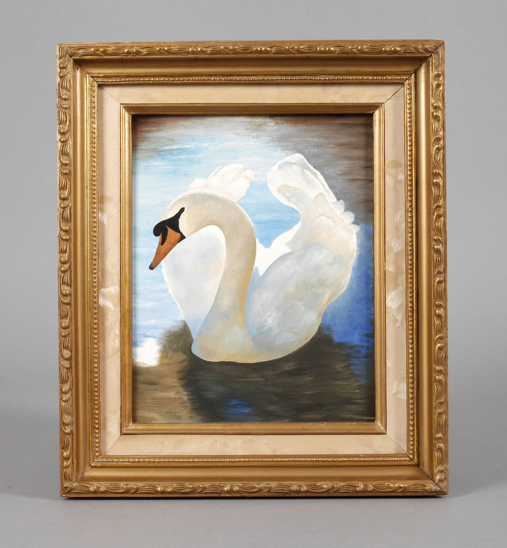 Schwan im Sonnenlicht