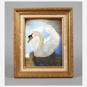 Schwan im Sonnenlicht