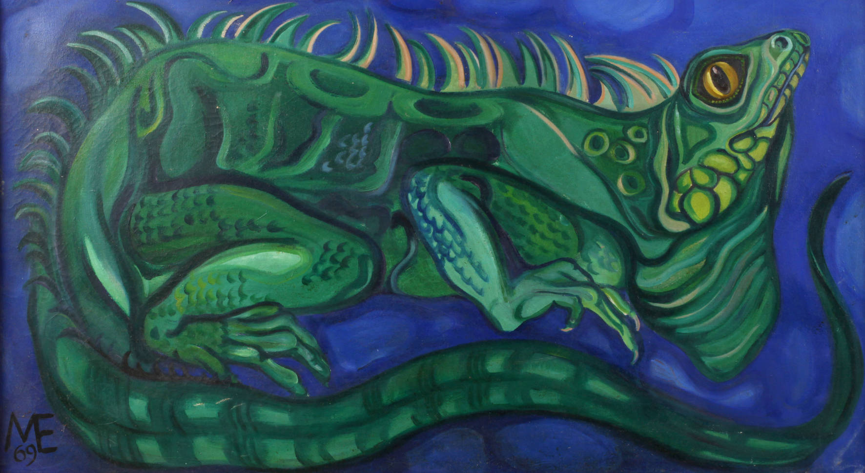 Grüner Leguan vor blauem Grund