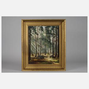 Sonnige Waldlichtung