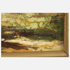 Sonnige Waldlichtung