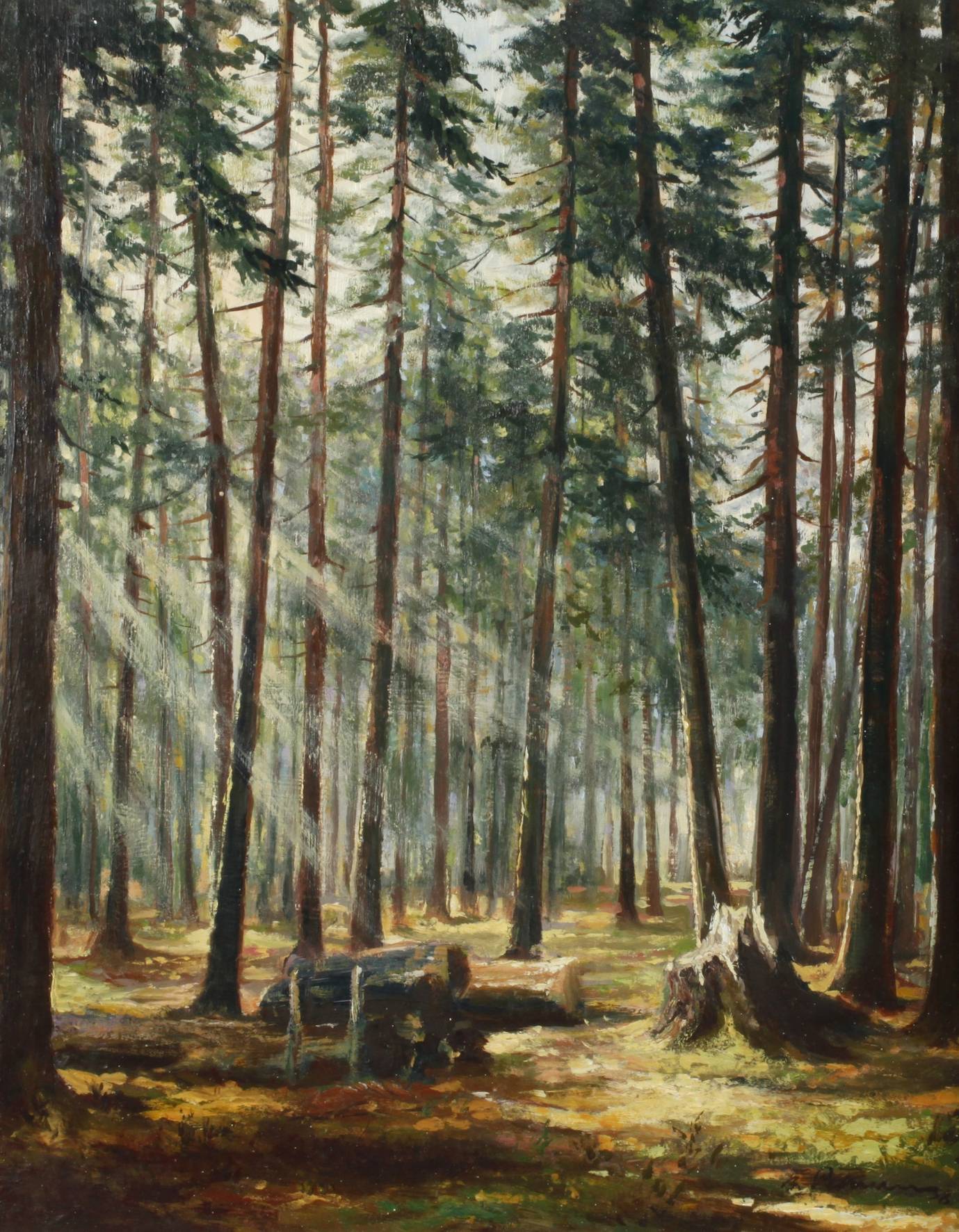 Sonnige Waldlichtung