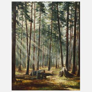 Sonnige Waldlichtung