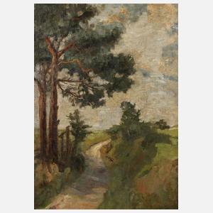 Weg in Sommerlandschaft