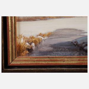 Sonnige Winterlandschaft