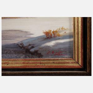 Sonnige Winterlandschaft