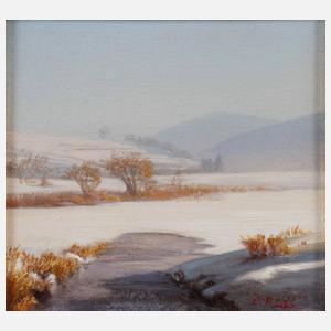 Sonnige Winterlandschaft