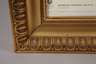Breite Goldstuckleiste