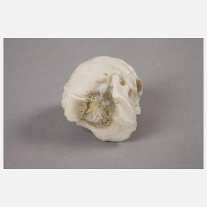 Beinschnitzerei Memento Mori