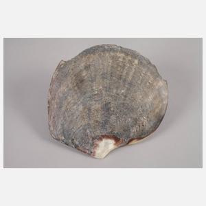 Große Muschelschnitzerei