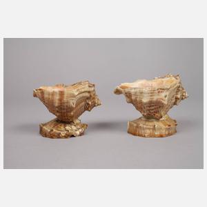 Zwei Muschelschalen