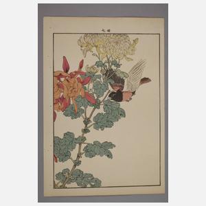 Farbholzschnitt Japan