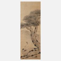 Rast unter Kiefer111