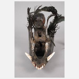 Unterkiefer eines Ebers