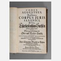 Codex Augusteus 1724111