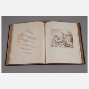 Goethes Faust und Reineke Fuchs reich bebildert