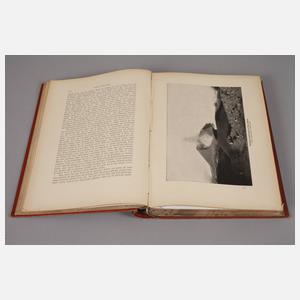 ”Weltall und Menschheit” in Jugendstileinband