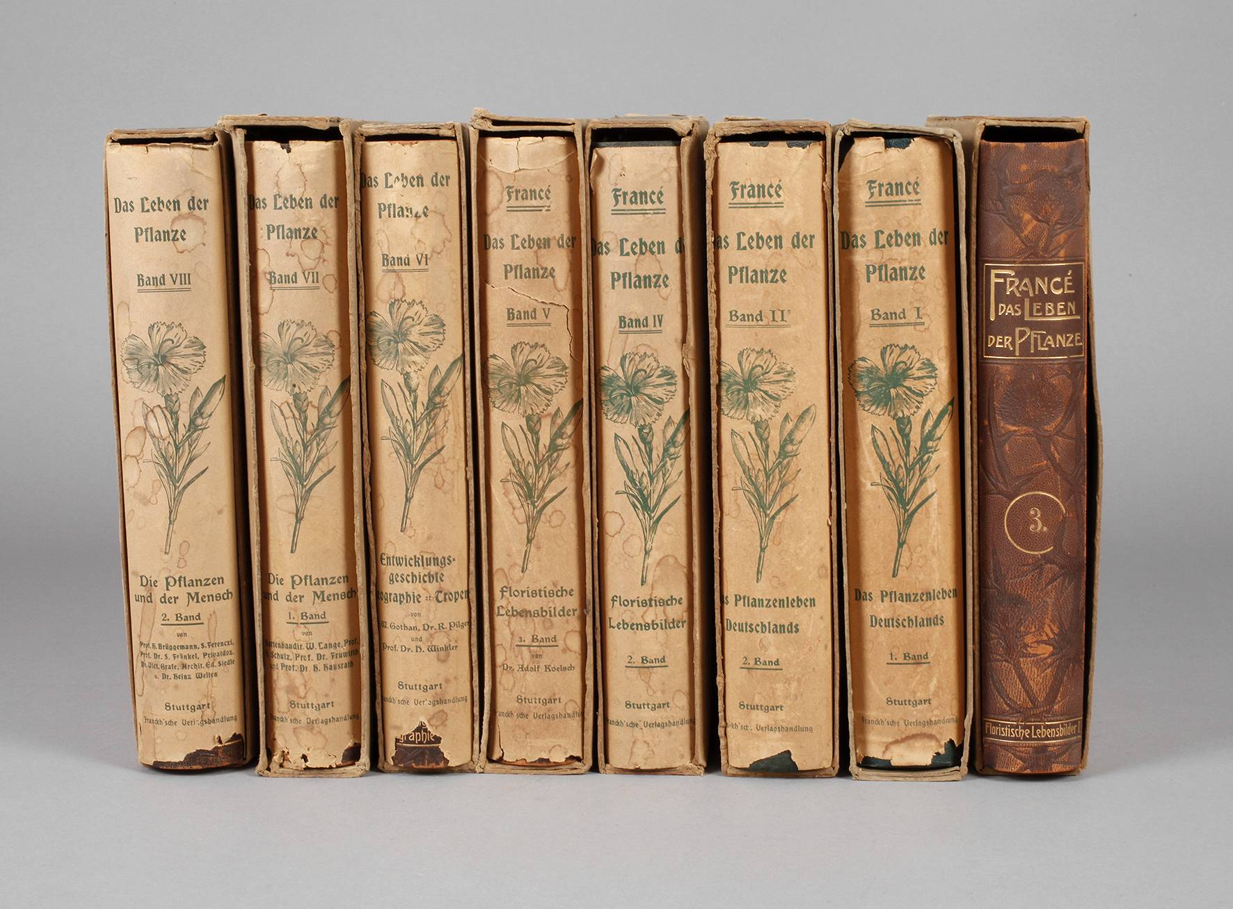 Das Leben der Pflanze