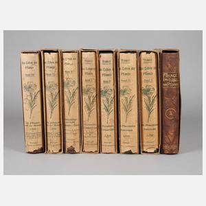 Das Leben der Pflanze