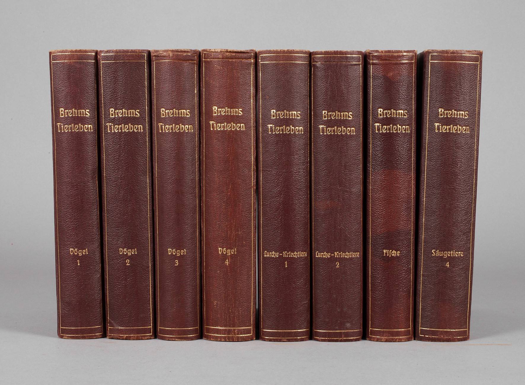 Brehms Tierleben
