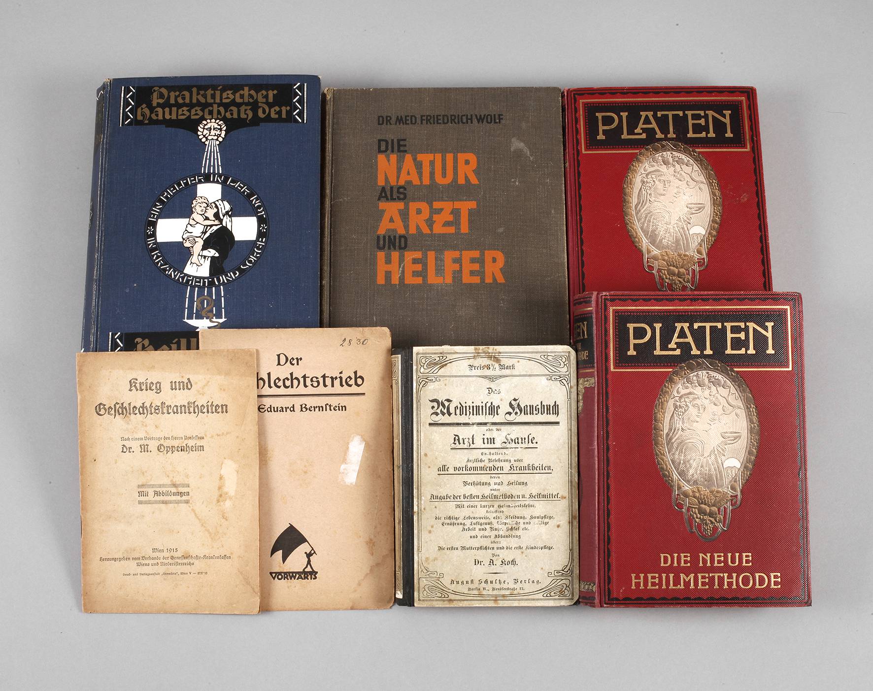 Konvolut Handbücher Medizin