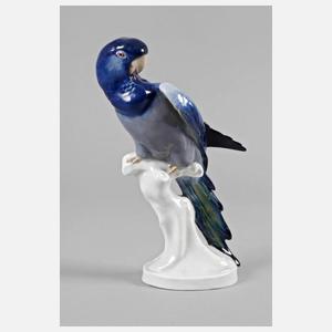 Meissen ”Keilschwanzsittich”