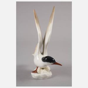 Rörstrand Fluss-Seeschwalbe