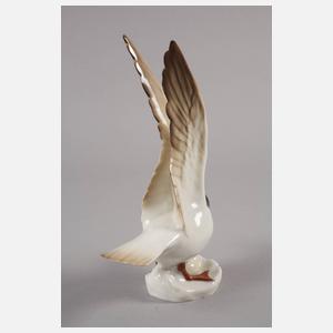 Rörstrand Fluss-Seeschwalbe